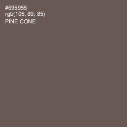 #695955 - Pine Cone Color Image